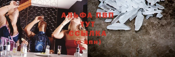 прущие грибы Алексин