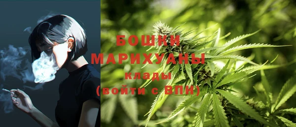 соль ск Алексеевка