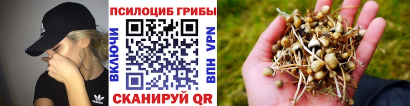 Галлюциногенные грибы ЛСД  OMG вход  Иркутск 