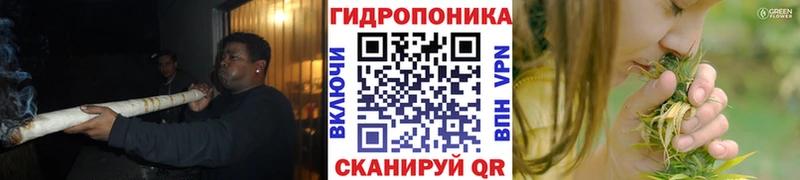 цена   Иркутск  Шишки марихуана Ganja 